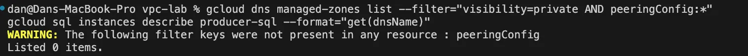 Terminal output: managed-zones list returns “Listed 0 items”, dnsName returns nothing