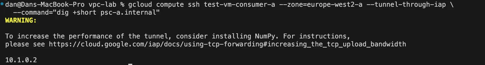 dig +short psc-a.internal resolving to 10.1.0.2